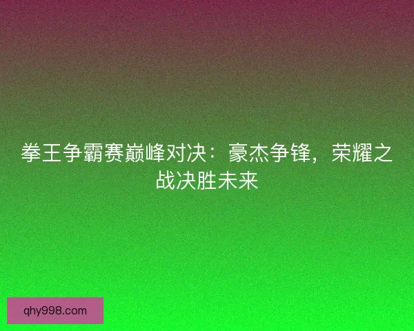 拳王争霸赛巅峰对决：豪杰争锋，荣耀之战决胜未来